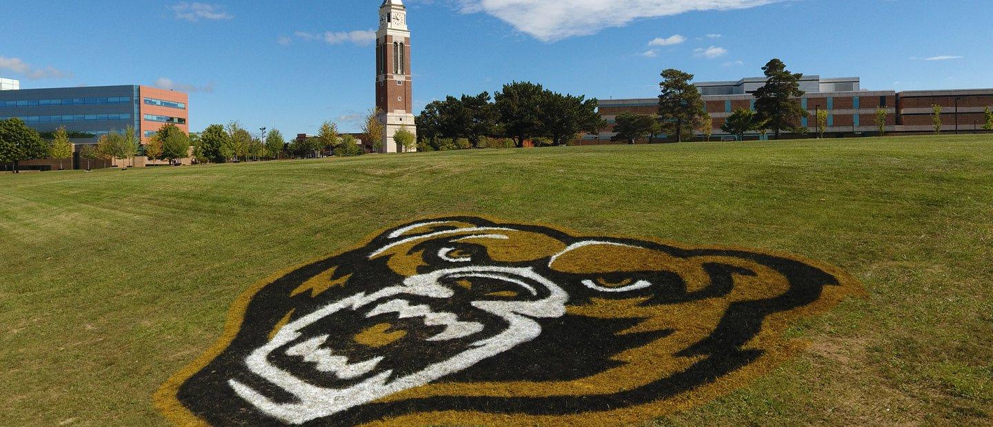 体育大楼外的草地上画着棕熊头的标志